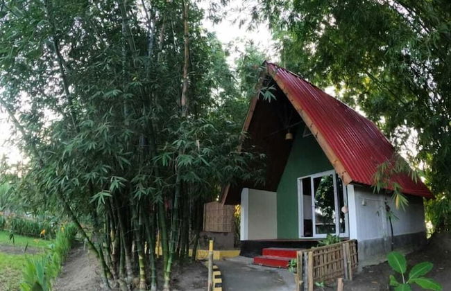 Pobitora Village Eco Camp - Foto 2