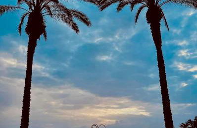 Apartament La Mata - Photo 14