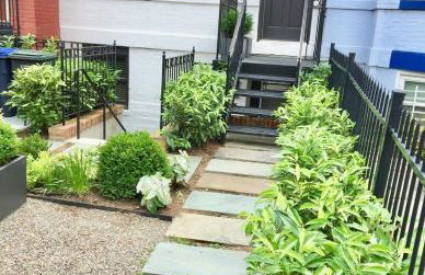 Historic ShawLeDroit Park Gem - 1 Bedroom on U St - Foto 3