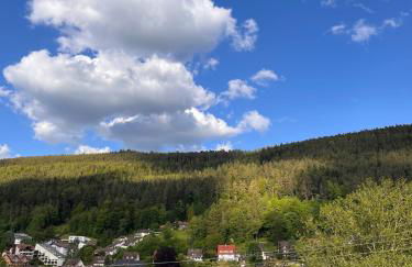 Die Ente an der Enz, mit Schwimmbad und Sauna - Foto 24