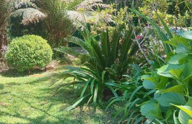 Casa Verde do Lago - Foto 22