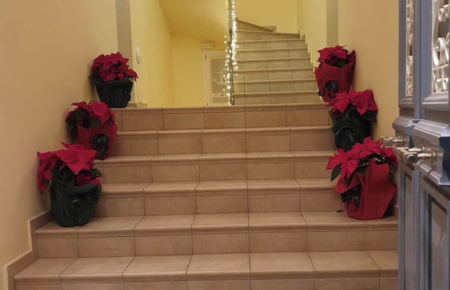 Nautilus Luxury Suites - Foto 44