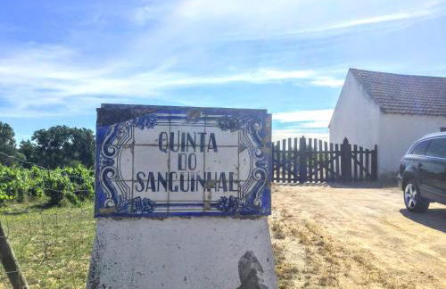 Quinta do Sanguinhal - Foto 53