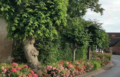 Reetferienhaus - Schaprode Hafen - Foto 33