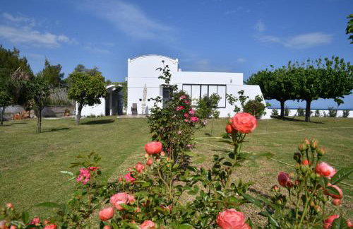 Doctor s estate Χαλκίδα - Photo 71