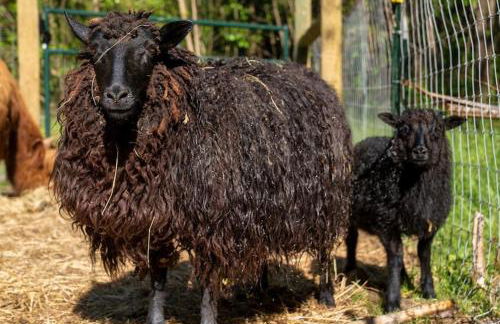 The Cottage at Highland Farms - Foto 40