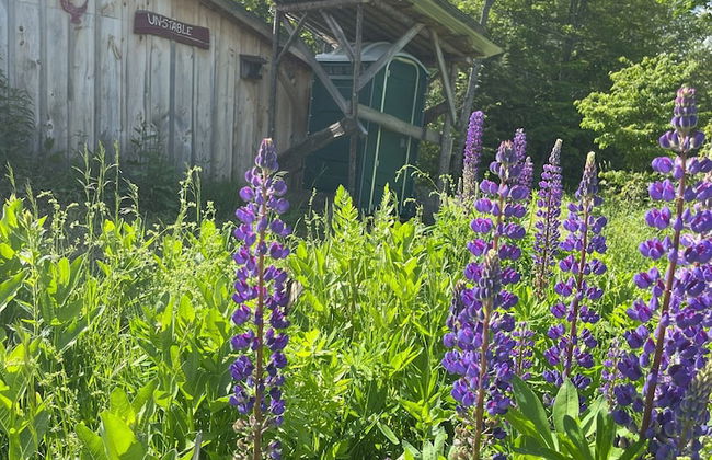 Streeter Mountain Farm - Photo 11