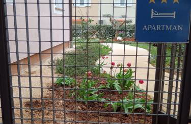 Casa Fiorita - Photo 3