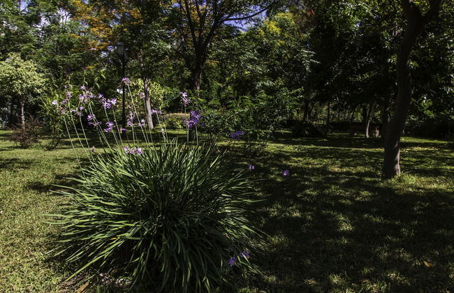 Tenuta Santa Tecla - Foto 72