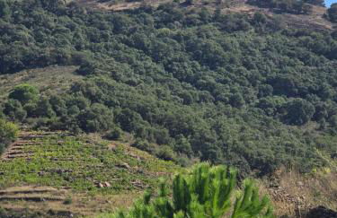 Appartement neuf et nouvelle top gestion, hyper calme, vue superbe mer et nature - Foto 65