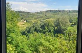 Casa Il Fico - Foto 11