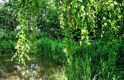 Ferienwohnung Simonsen - Foto 21