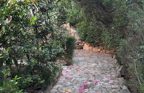 Villa Grace - Foto 58