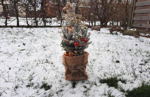 Ferienwohnung auf Insel Poel - Foto 30