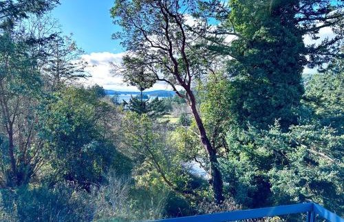 Deer Harbor Cottage & Suites - Foto 38
