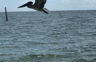 Paradise Home, Tranquil canal view 3-BDR in Golfers paradise - Foto 42