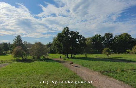 Spreebogenhof - Foto 6