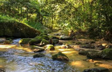 Casa de campo com cachoeira no quintal - Foto 55