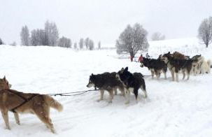 appartement edlweiss 4 pers dans gite"la maison d'augustin" classé 3 étoiles, la tour,73530 st jean d'arves - Foto 13