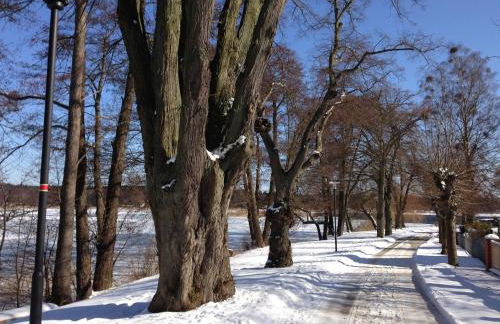 Röblinseeterrassen - Foto 71