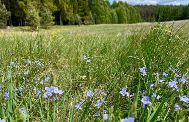 Leśne Siedlisko Wygonin - Foto 55