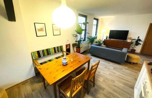 P6 - Familienwohnung am Park und Saale - Foto 10