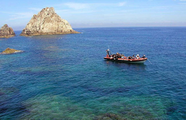 Snorkel en Berlenga Grande - Foto 6