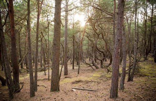 Słowiński Zakątek - Foto 66