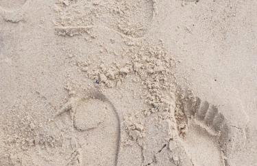 Angel Apartament - Foto 26