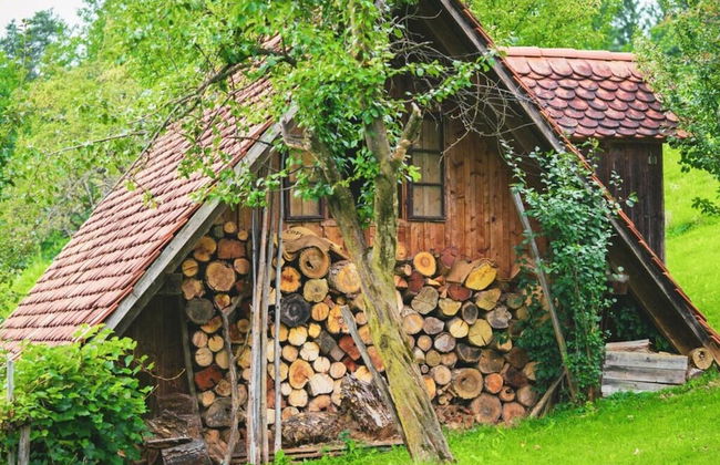 The Holler Comfortable Holiday Residence - Foto 22