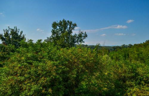 Cascina dei Cisi - Foto 53