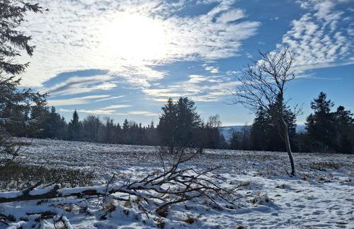 Ferienhaus 1000 Berge Winterberg Kamin & Whirlpool - Foto 42