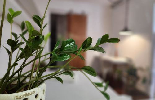 Loft próximo a Rodoviária- Fábricas - Foto 6