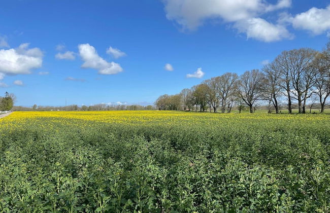 4 Star Holiday Home in Kattarp - Photo 6