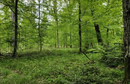 Ferienwohnung Hemer - Foto 28