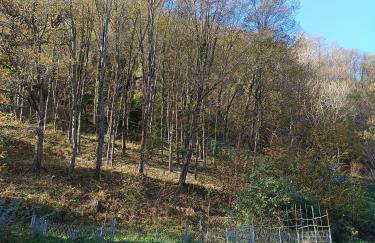 2 double rooms apartment- La Casa di Alice - Foto 51