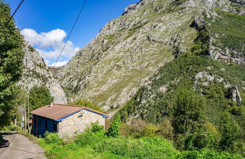 Aguas Parque Ponga - Foto 43