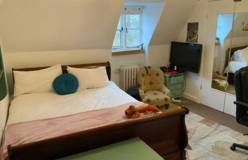 Molland Manor House Self catering (10 bedrooms 9 bathrooms) - Foto 39