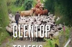 Ardagh Cottage Secluded in Glenshesk near Ballycastle - Foto 42