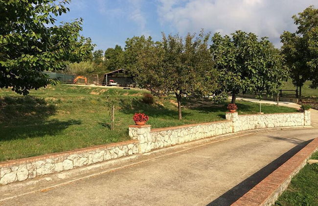 Agriturismo Tenuta del Daino - Photo 38