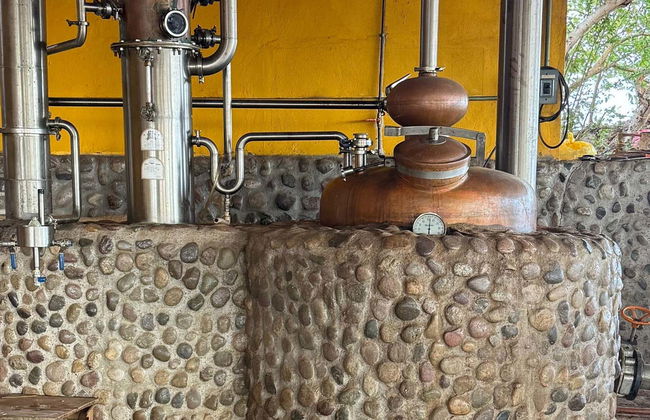 Visita del Rancho Mr. Lionso + Degustazione di mescal - Foto 1