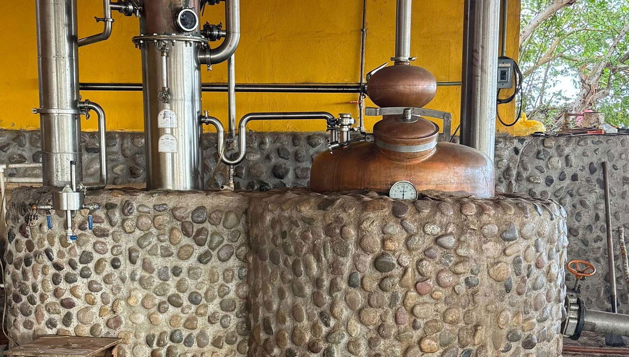 Visita del Rancho Mr. Lionso + Degustazione di mescal