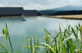 Stodoły Modyń - Domki w Beskidzie Wyspowym - staw kąpielowy, balia, sauna, grota solna - widok na góry - Photo 33