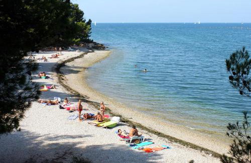 Family-friendly apartments with swimming pool Kastel, Central Istria - Sredisnja Istra - 21309 - Foto 2