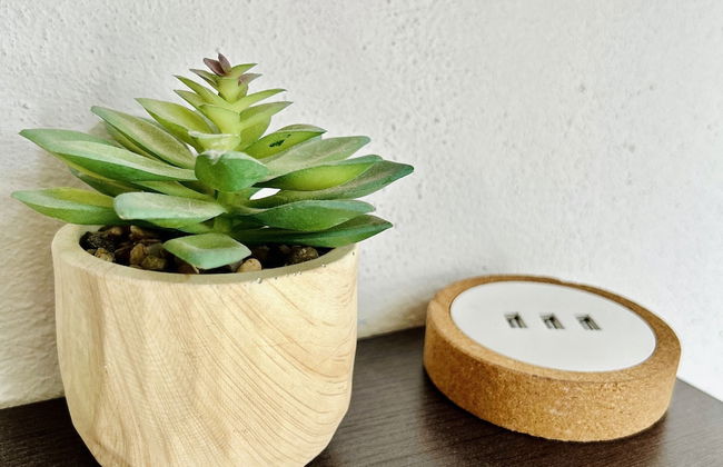 La Casa Blanca Santa Fe - Foto 28