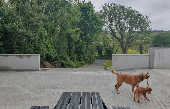 Hogans Cottage Ennistymon - Foto 9