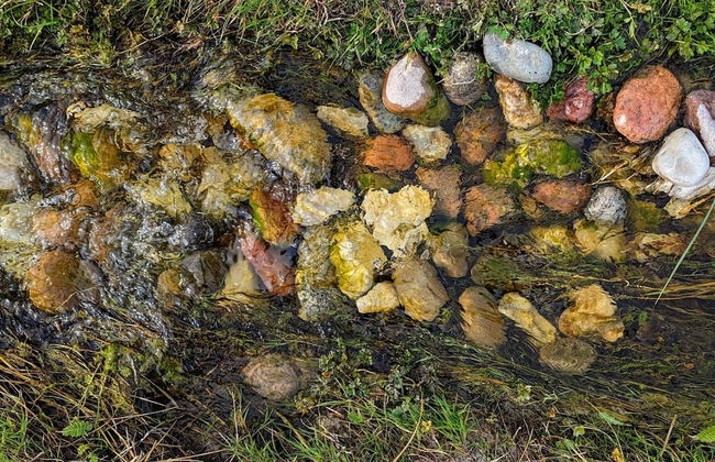 6 Person Holiday Home in Eskebjerg-by Traum - Foto 4