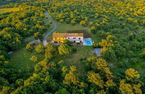 House Gracijela, village Bulići - Foto 46