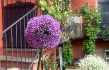 Come a casa - Foto 1