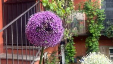 Come a casa - Foto 1